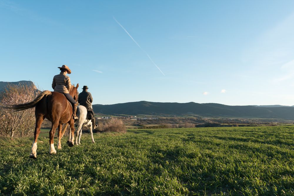 People on horses