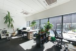 Modern interior of spacious office building