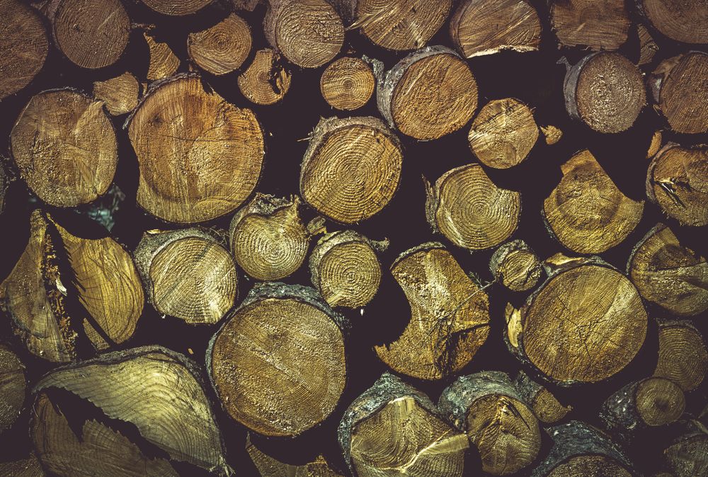 Wooden texture with pile of tree trunks