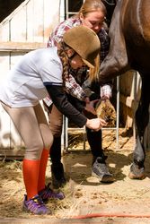 Instructor and young girl clean horse's hoof together.