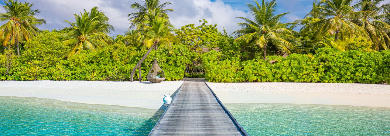 Walkway leading to a beautiful beach with palm trees, wide shot
