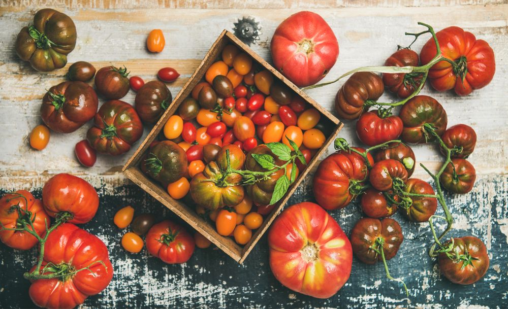 Assortment of different tomatoes, large to small and green to red