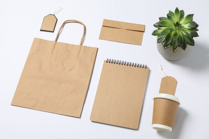 Composition with blank stationery and succulent on neutral background, mockup