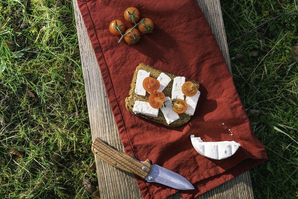 Healthy food outdoor on grass