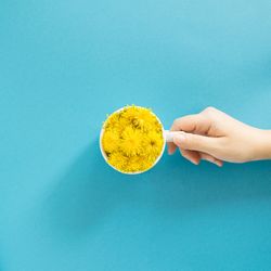 Mug with yellow flowers in water with hand