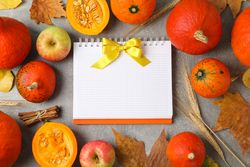 Composition with pumpkins and copybook on grey background, space for text