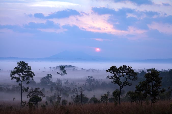 Landscape fog in morning sunrise at Thung Salang Luang National Park Phetchabun,Tung slang luang is Grassland savannah in Thailand
