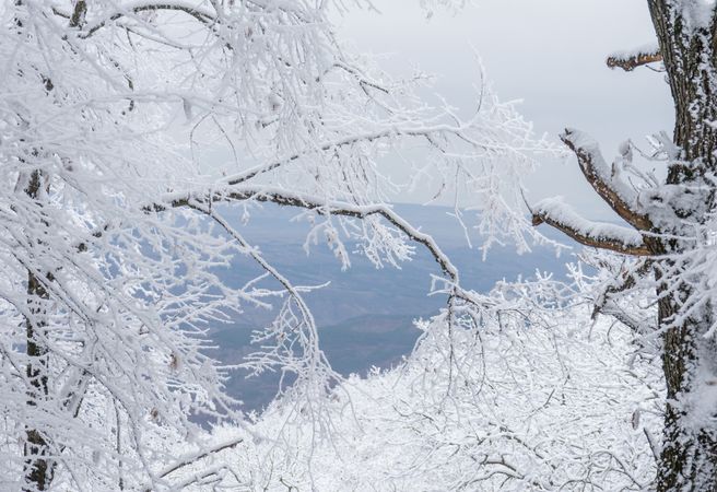 Winter snowy landscape