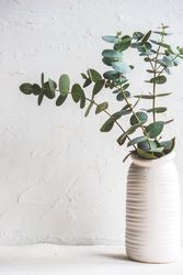 Vase with eucalyptus