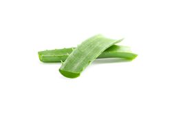 Aloe vera leaves isolated on blank background. Herbal medicine