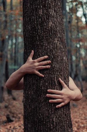 Person hugging tree