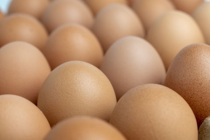 close up egg on egg tray