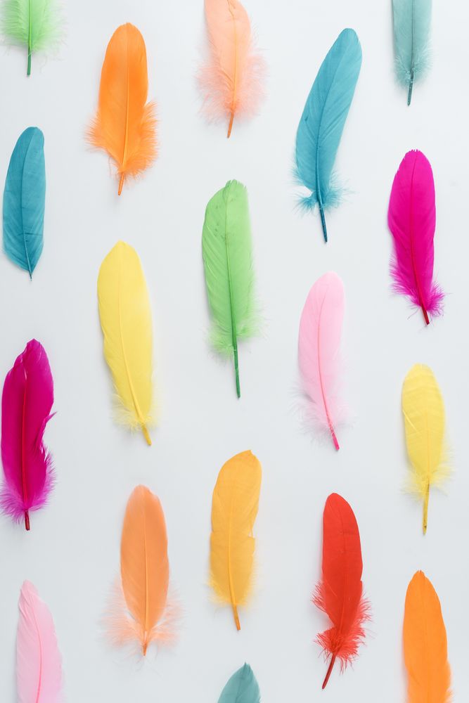 Colorful pattern made of feathers