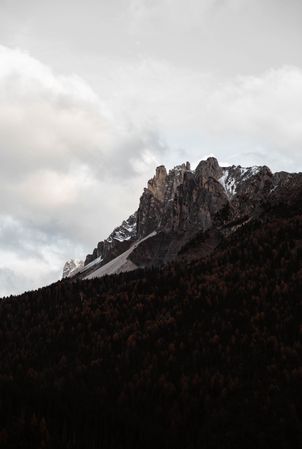 Big mountains near pine forest on cloudy weather