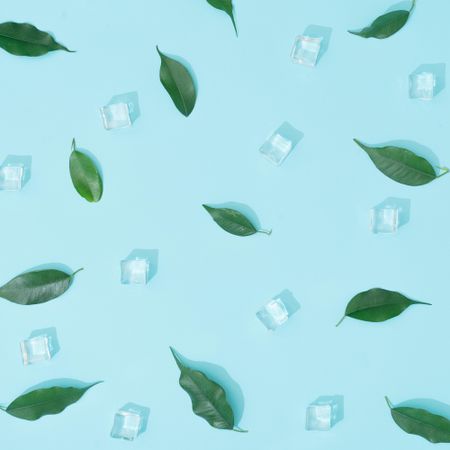 Creative summer background composition with leaves and ice cubes
