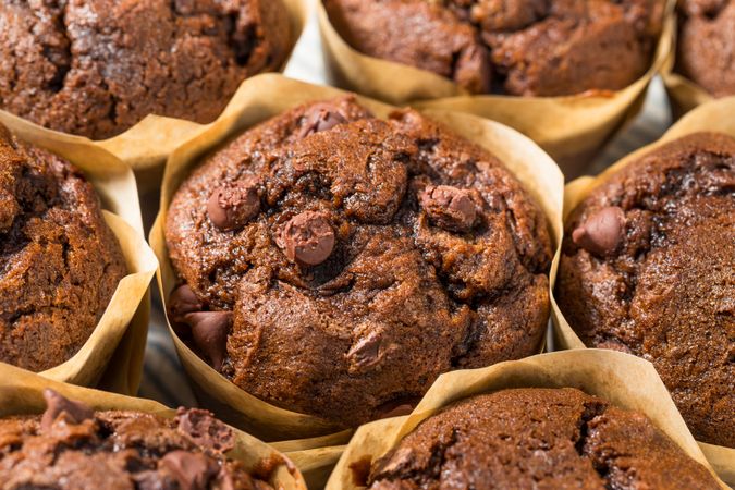 Sweet Homemade Double Chocolate Chip Muffin