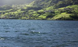 Lake scenery and green hills