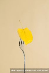Autumn yellow leaf on a fork bGyoa5