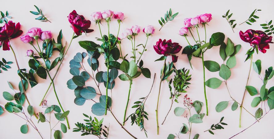 Various summer flowers flat-lay, wide composition