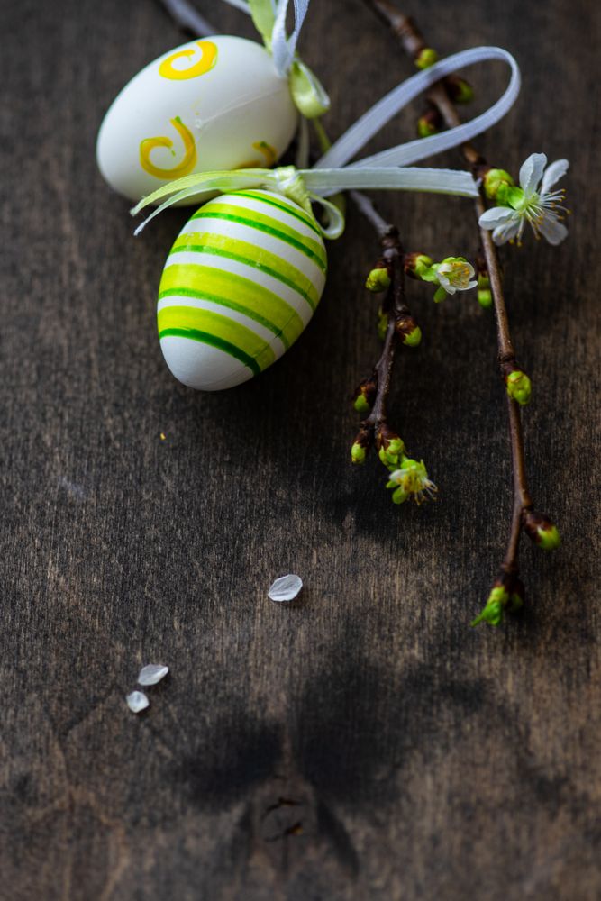 Easter holiday card concept with decorated eggs and budding branch