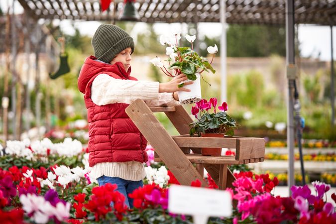 Boy putting potted flower on wooden stand in garden center