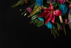 Colorful spring flowers of red, blue, pink, cream on dark background