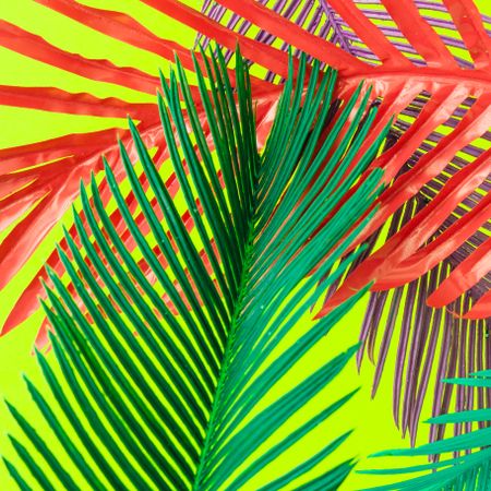 Painted tropical and palm leaves in vibrant bold colors on green background