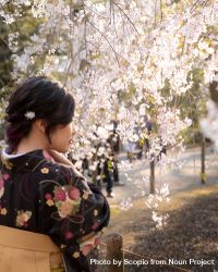 Woman in floral kimono standing under cherry blossom tree looking away 0Vxgr4
