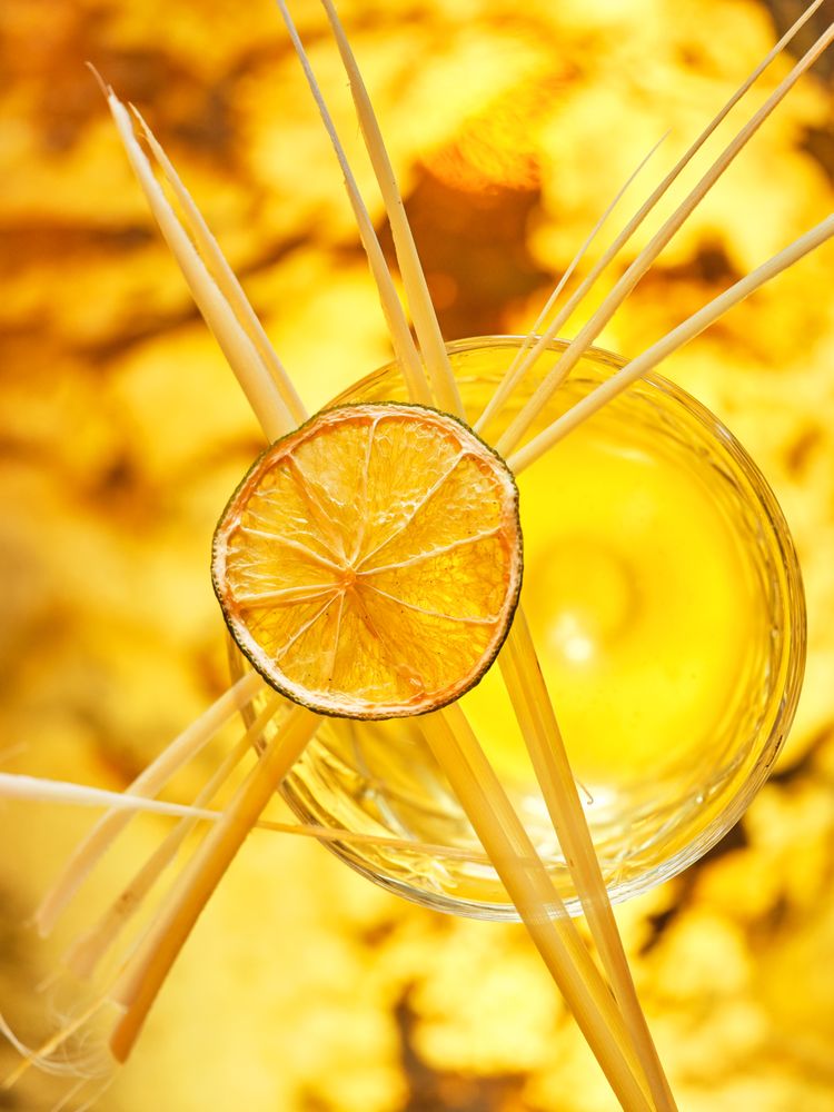 Tropical alcoholic cocktail on counter