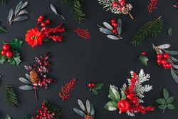 Holiday branches on dark background