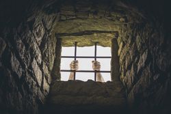 Man grabbing prison bars