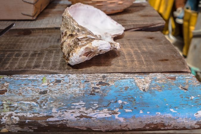 Oyster resting on wooden table