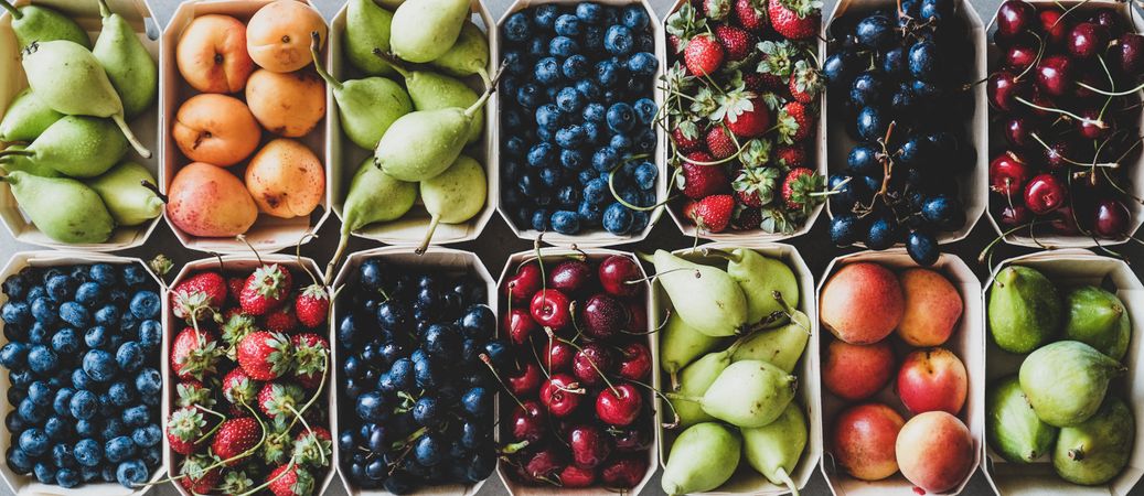 Rows fresh fruit arranged together in eco-friendly boxed, wide composition