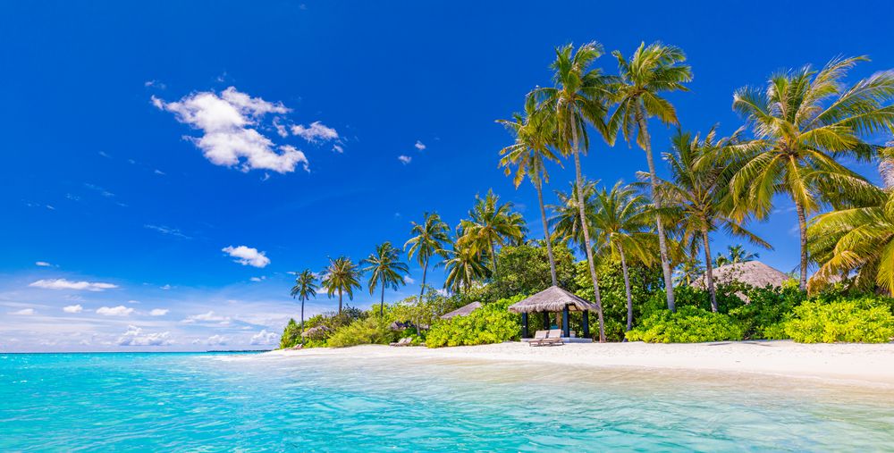 Tropical beach resort with thatch cabana and palm trees, wide