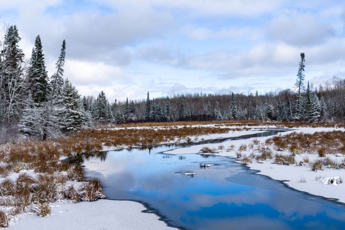 A stream and snow in Itasca County, Minnesota