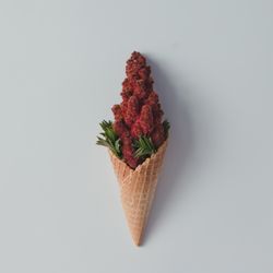Ice cream cone with red flowers and leaves