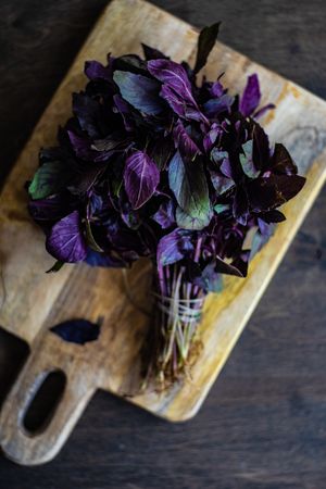 Healthy food concept with fresh basil on wooden board