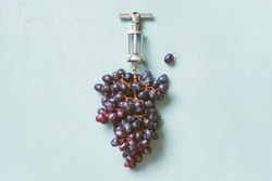 Natural wine production concept