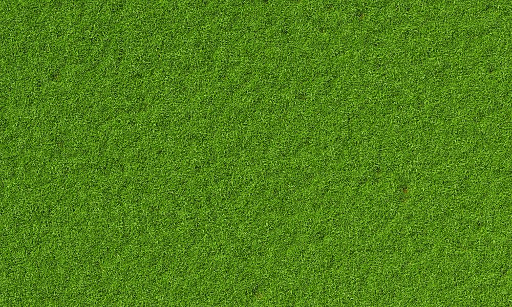 Top view of plain field of grass