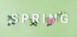 “SPRING” text with pink flowers against pastel green background
