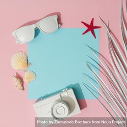 Beach accessories and palm leaves on pastel pink and blue background 4ZxyN0