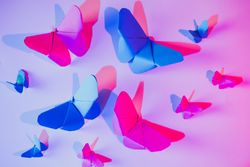Paper butterflies and leaf on wall