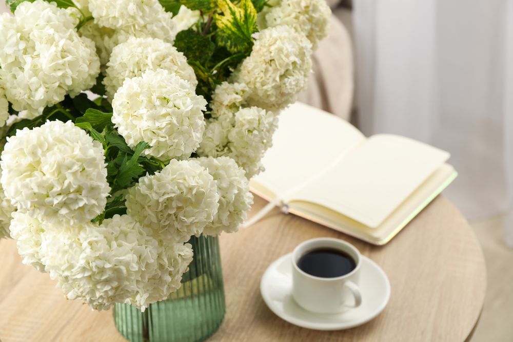 Composition with hydrangea flowers indoor. Spring plant