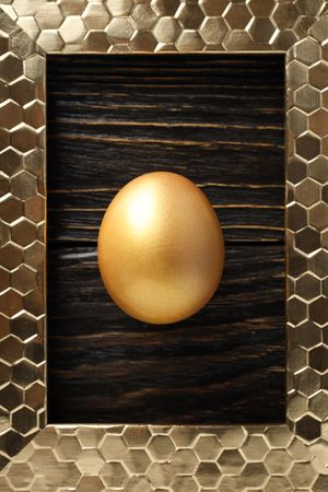 Golden egg, pension savings, investments and retirement