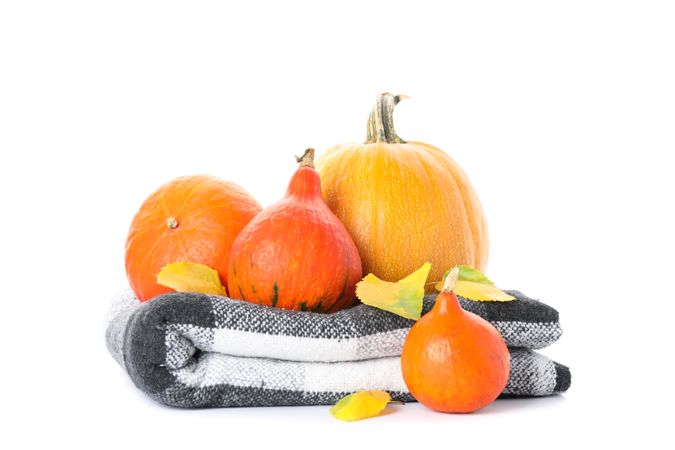 Pumpkins, plaid and leaves isolated on plain background