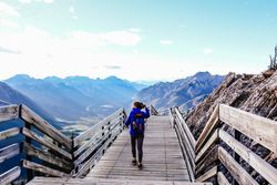 Back view of person with backpack walking on wooden bridge in the mountains 5RJ7W5