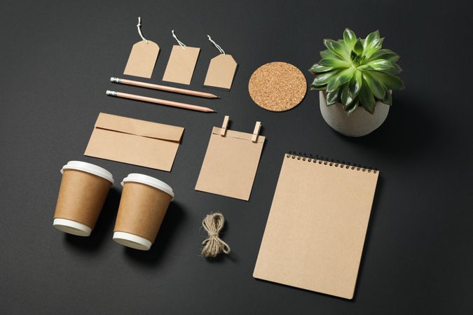Composition with blank stationery and succulent on dark background, mockup