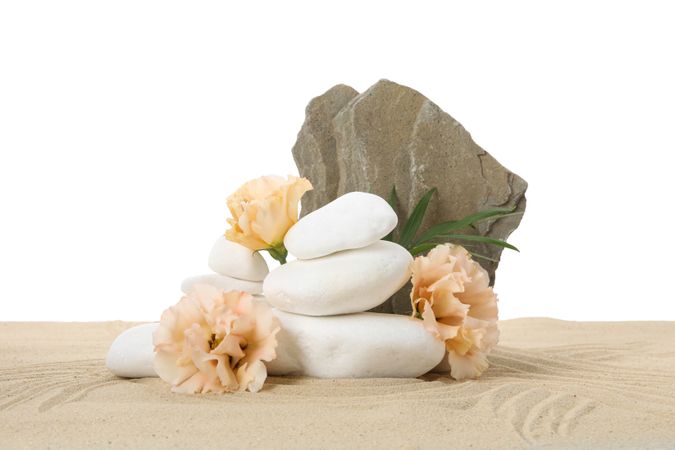 Stones and flowers on sand, isolated on plain background