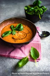 Tomato soup with oil garnish and basil leaves beXrL6