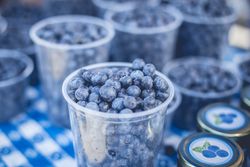 Cups of fresh tasty berries